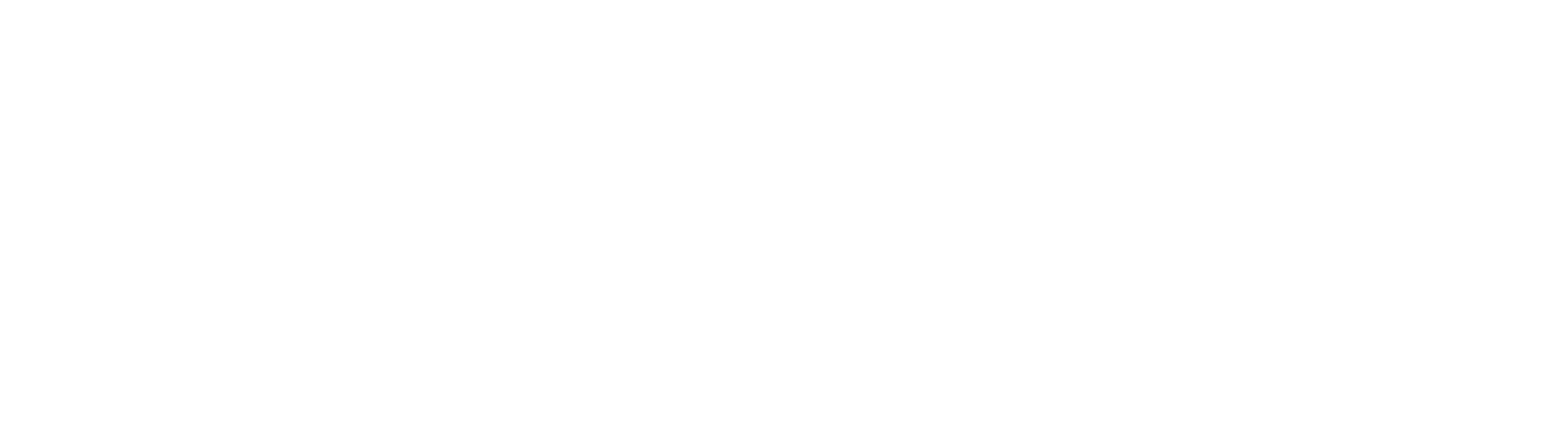 Logo H_BR